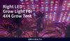 What kind of grow light you need for a 4x4 grow tent ?
