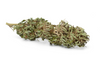 dried-marijuana-bud-with-visible