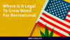 Top 3 States to Grow Recreational Marijuana in the US 
