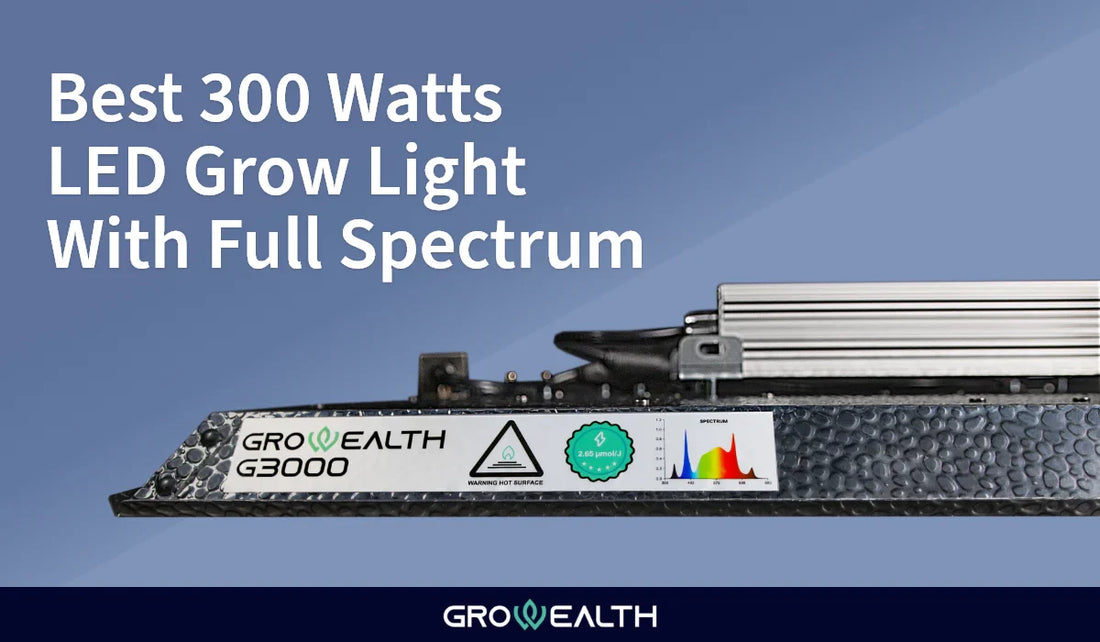 Best 300 Watt LED Grow Light with Full Spectrum