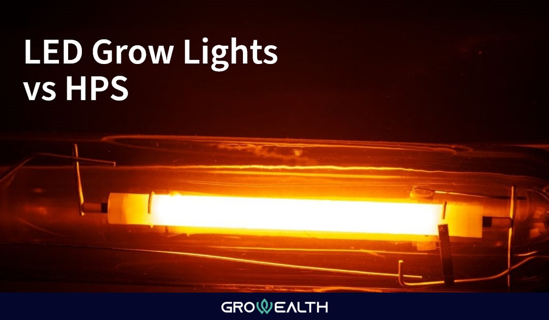 LED Grow Lights VS. Grow Light HPS Guide For Indoor Growing Growealth