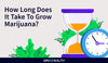 How Long Does It Take to Grow Marijuana Indoors?