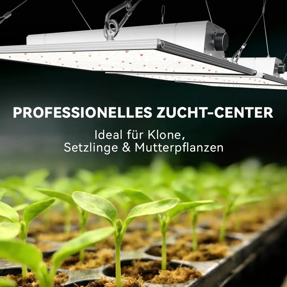 Kompakte 150W Vollspektrum-Beleuchtung für kleine Anbauflächen