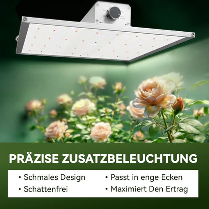 Kompakte 150W Vollspektrum-Beleuchtung für kleine Anbauflächen