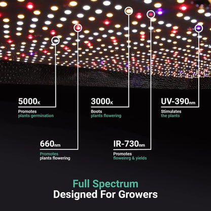 Growealth G3000 300W Full Spectrum LED Grow Light for Grow Tents