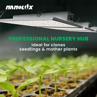 Compact 150W Full Spectrum Lighting for Small Grow Spaces