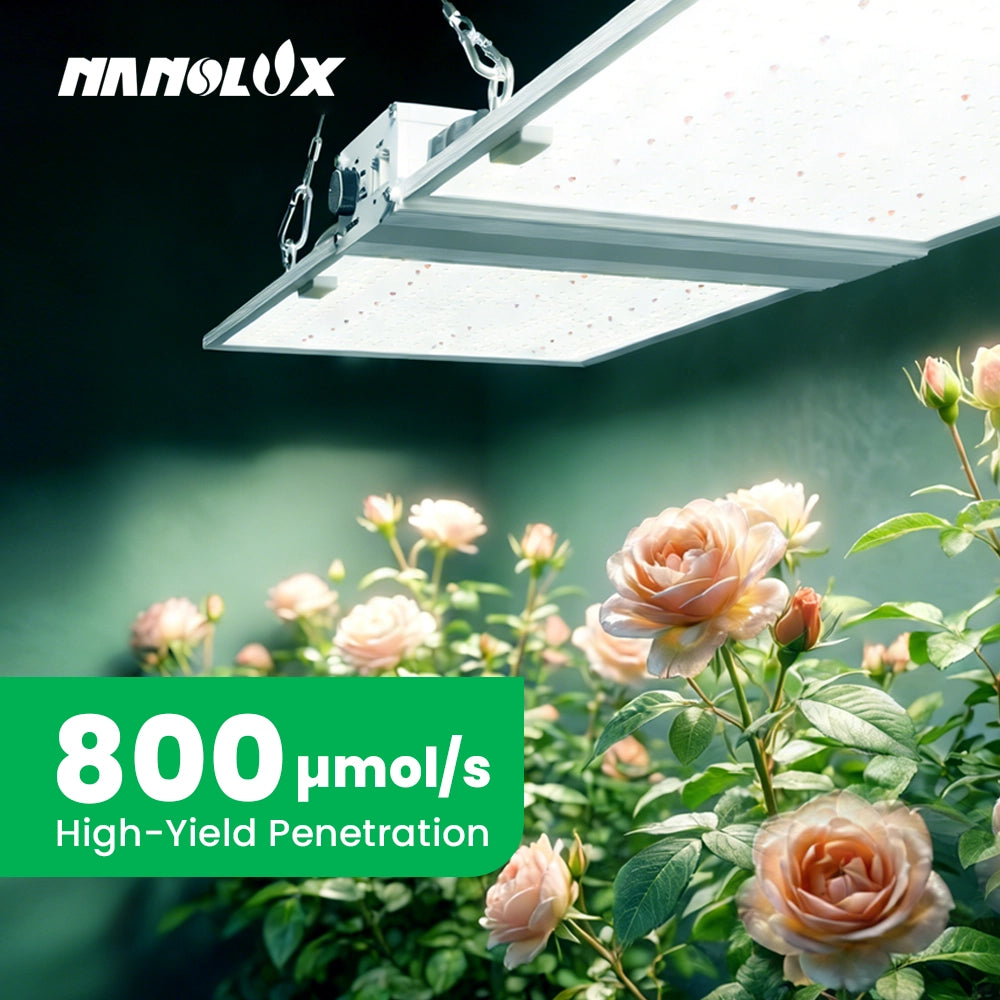 RG Series Full Spectrum LED Grow Light (320W / 480W) for 3×3 & 4×4 Grow Tents