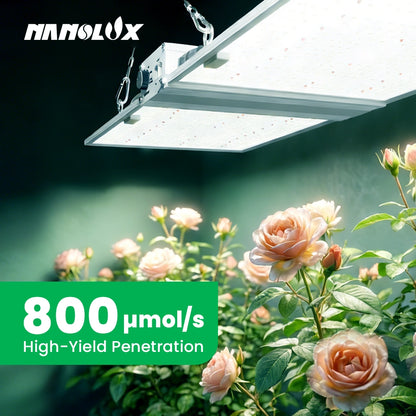 RG Series Full Spectrum LED Grow Light (320W / 480W) for 3×3 & 4×4 Grow Tents