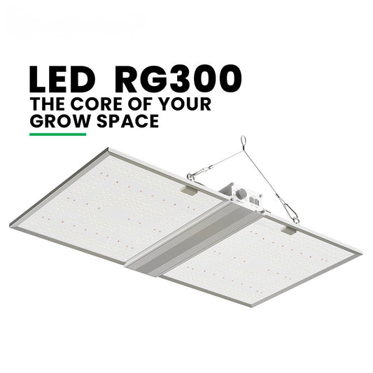 RG Series Full Spectrum LED Grow Light (320W / 480W) for 3×3 & 4×4 Grow Tents