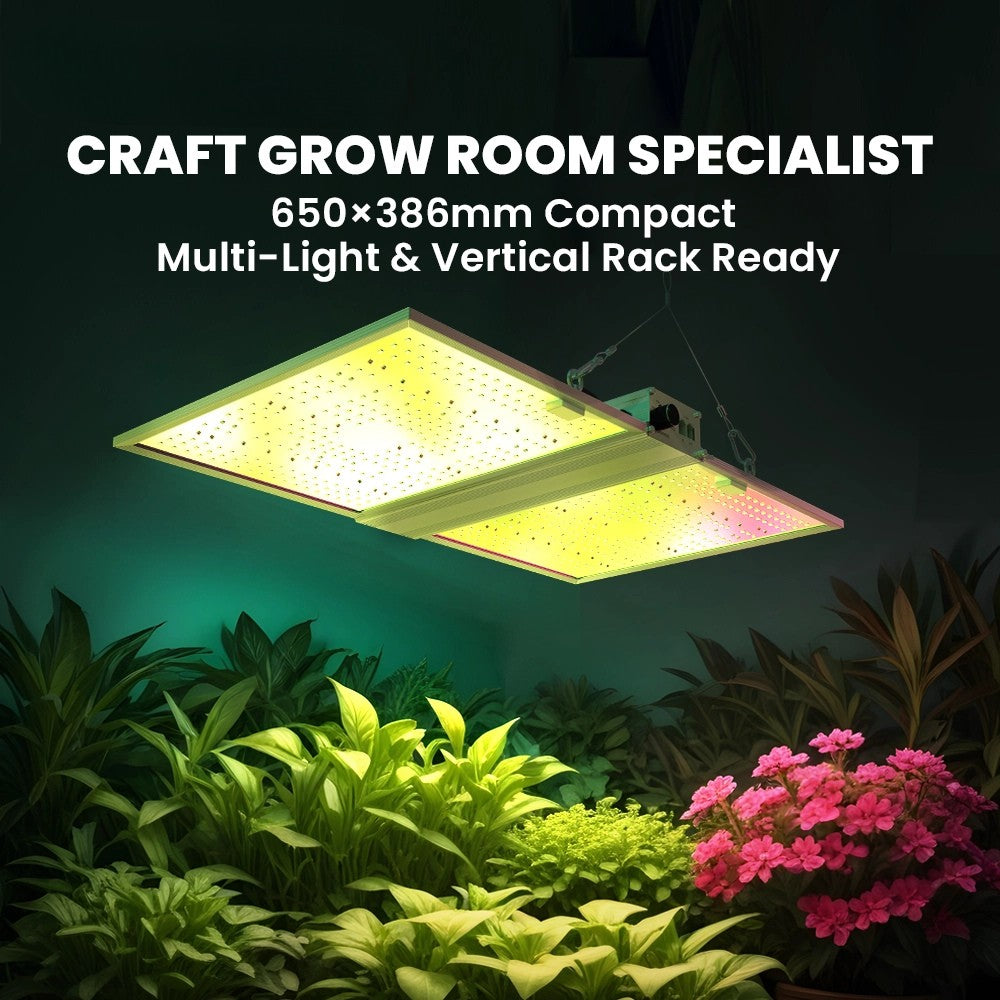 RG Serie Vollspektrum LED Pflanzenlampe (320W / 480W) für 90x90cm & 120x120cm Growzelte